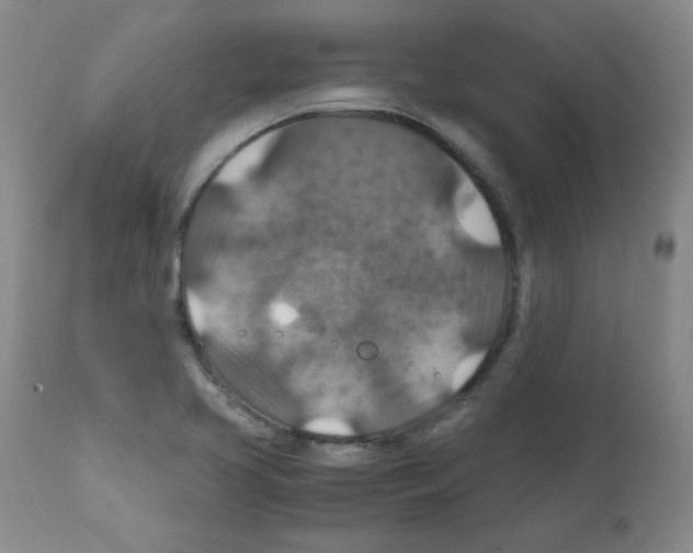 X0000112011413200909141115
