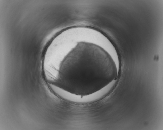 X0000112011414200909141115