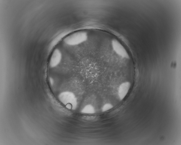 X0000112011415200909141115