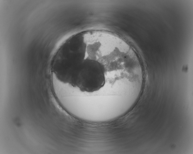 X0000112011416200909141115