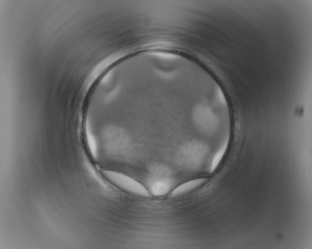 X0000112011418200909141115