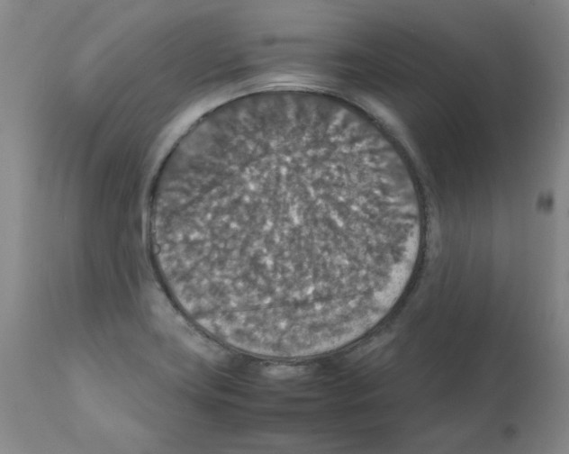 X0000112011419200909141115