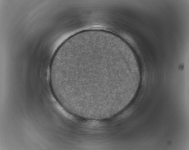 X0000112011420200909141115