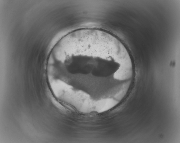 X0000112011421200909141115