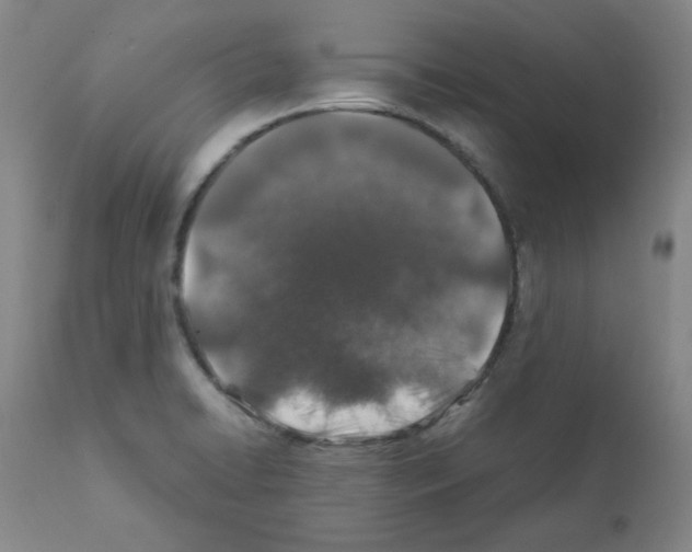 X0000112011422200909141115