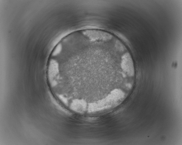X0000112011423200909141115
