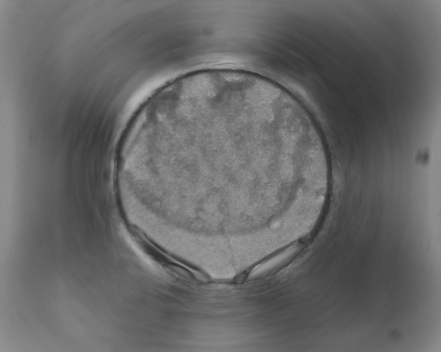X0000112011424200909141115