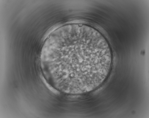 X0000112011425200909141115