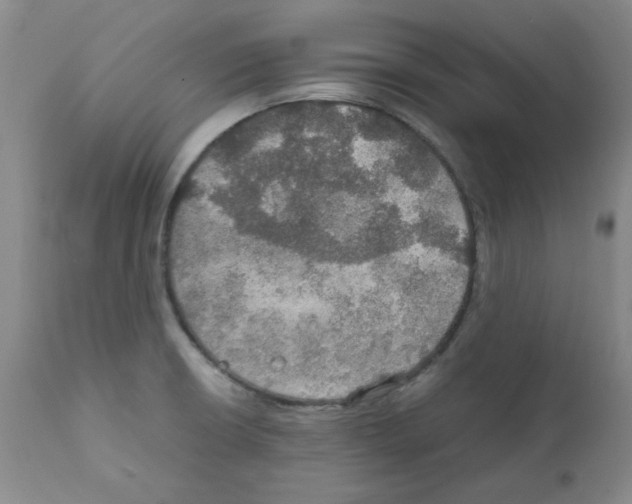 X0000112011426200909141115