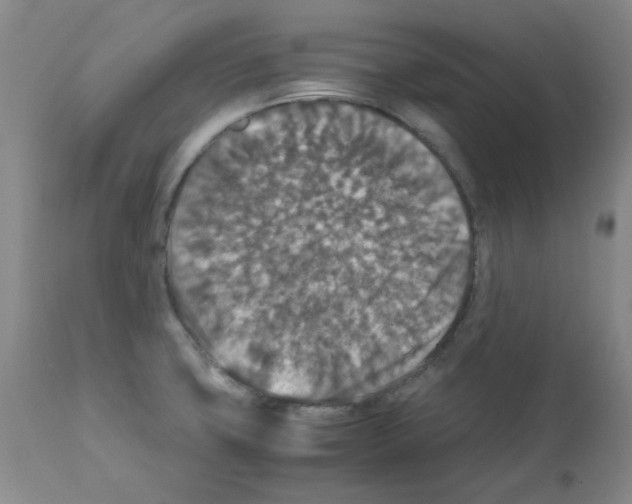 X0000112011427200909141115