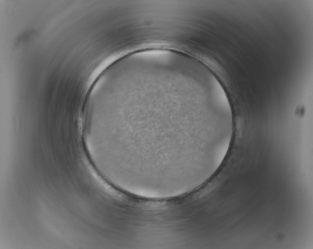 X0000112011428200909141115