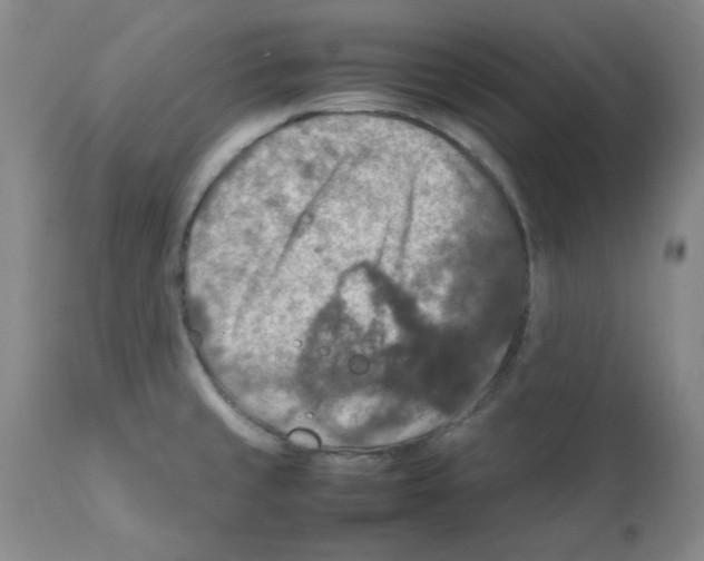 X0000112011429200909141115