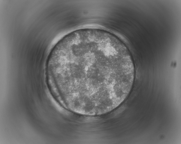 X0000112011430200909141115