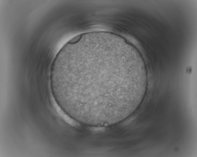 X0000112011431200909141115