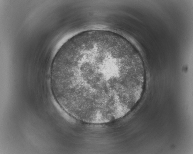 X0000112011432200909141115