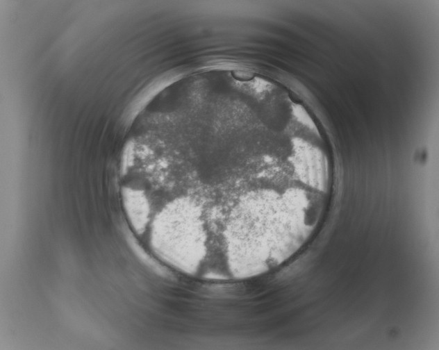 X0000112011433200909141115