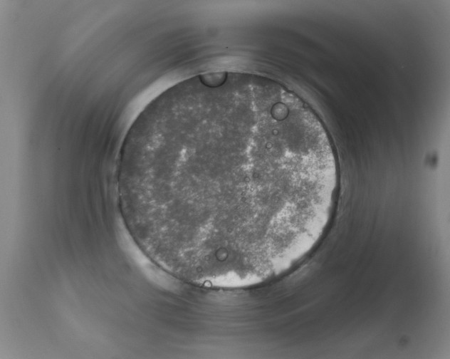 X0000112011434200909141115