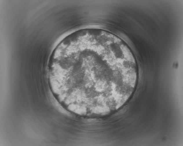 X0000112011436200909141115