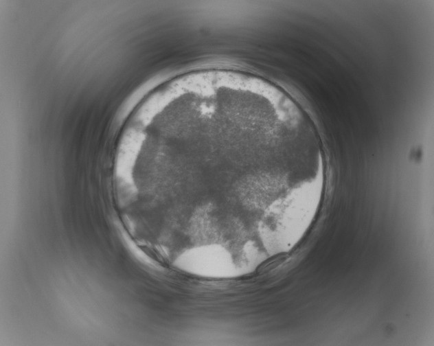 X0000112011438200909141115