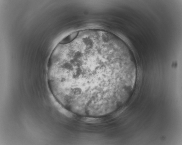 X0000112011439200909141115