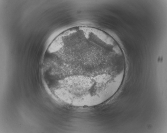 X0000112011440200909141115