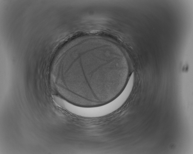 X0000112011441200909141114