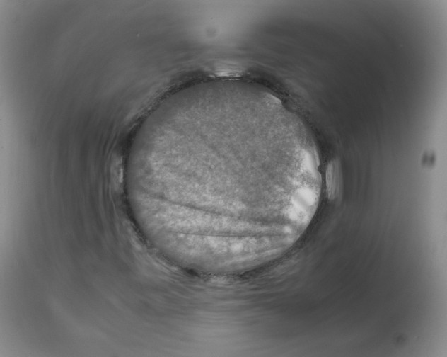 X0000112011443200909141114