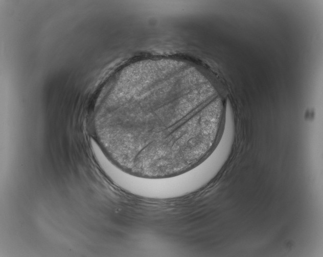 X0000112011444200909141114