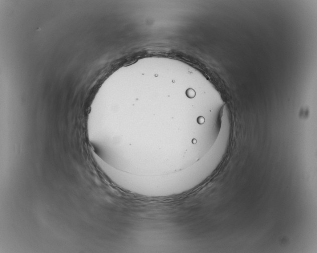 X0000112011445200909141114