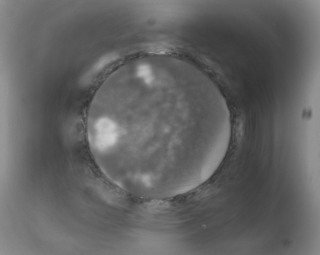 X0000112011446200909141114