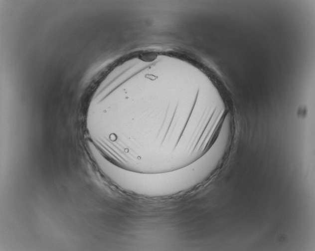 X0000112011448200909141114