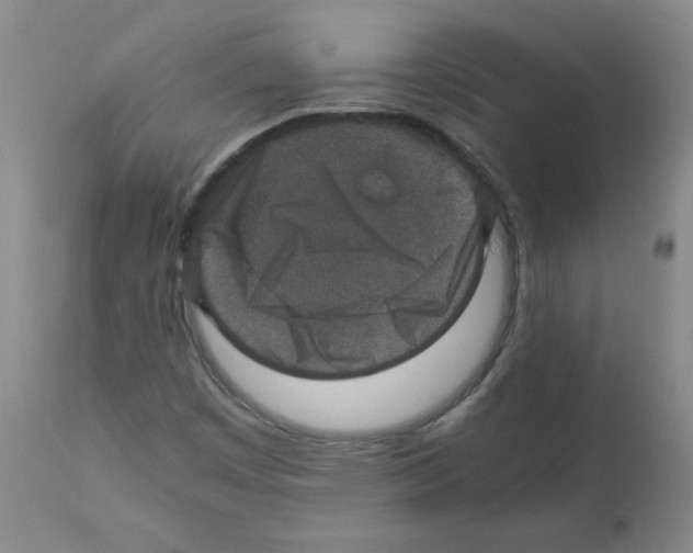 X0000112011449200909141114