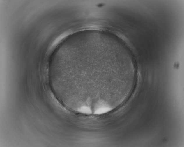 X0000112011450200909141114