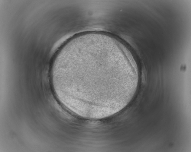 X0000112011452200909141114