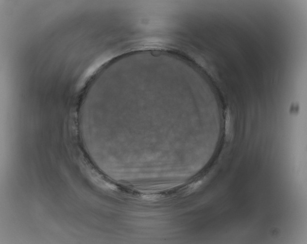 X0000112011453200909141114