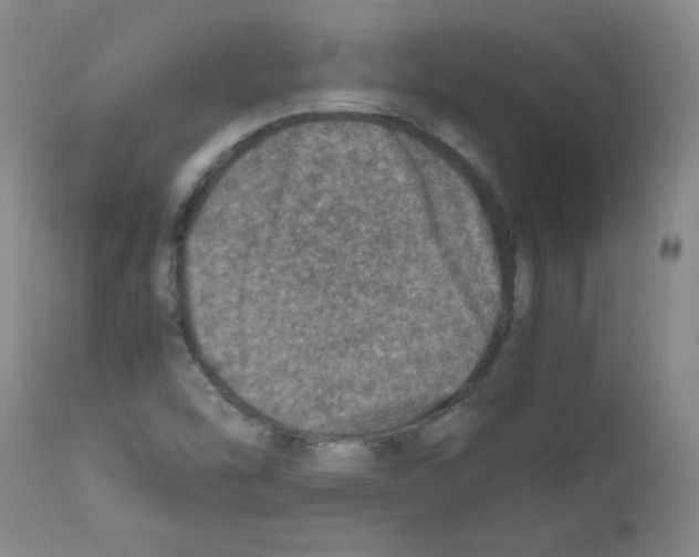 X0000112011454200909141114