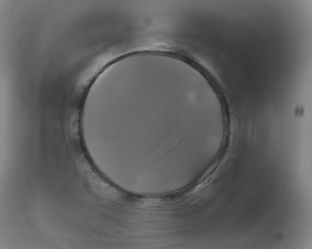 X0000112011455200909141114