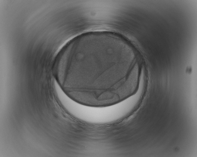 X0000112011457200909141114