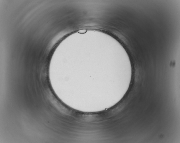 X0000112011458200909141114