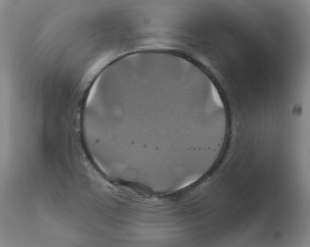 X0000112011459200909141114