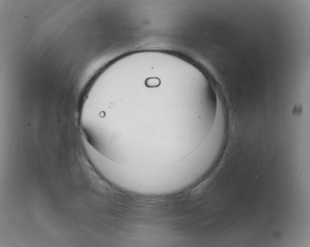 X0000112011461200909141114