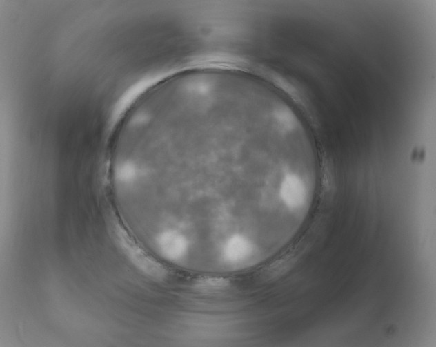X0000112011462200909141114