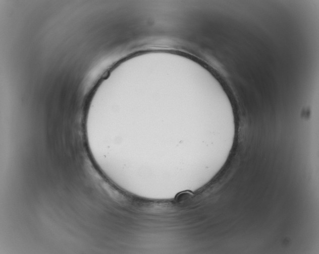 X0000112011464200909141114