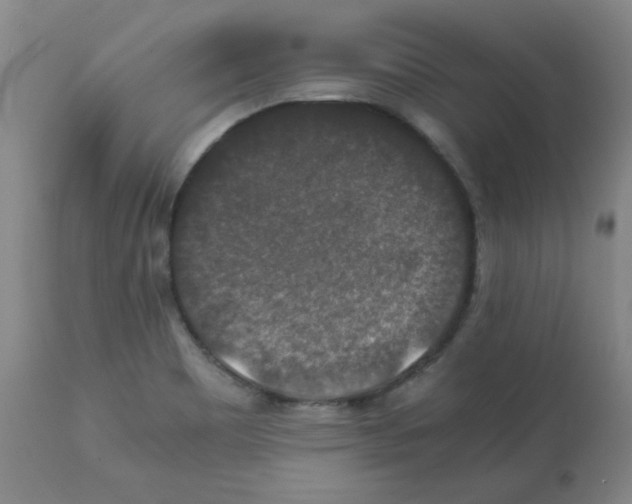 X0000112011465200909141114