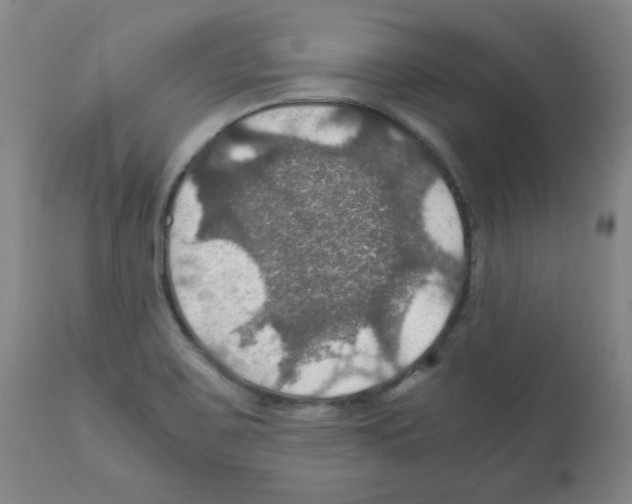 X0000112011467200909141114
