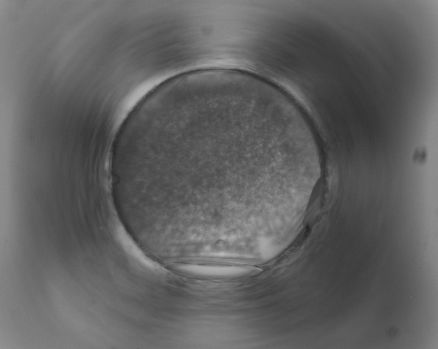 X0000112011468200909141114