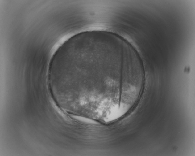 X0000112011469200909141114