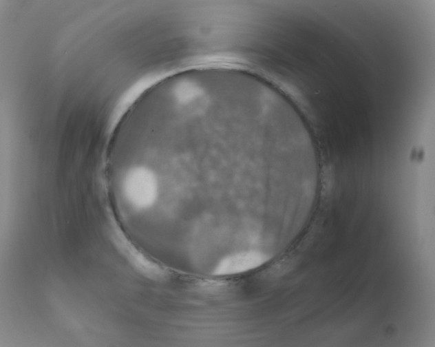 X0000112011470200909141114