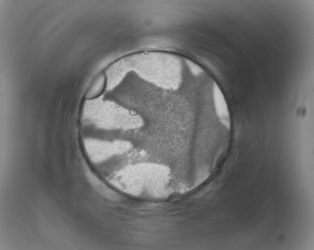 X0000112011471200909141114
