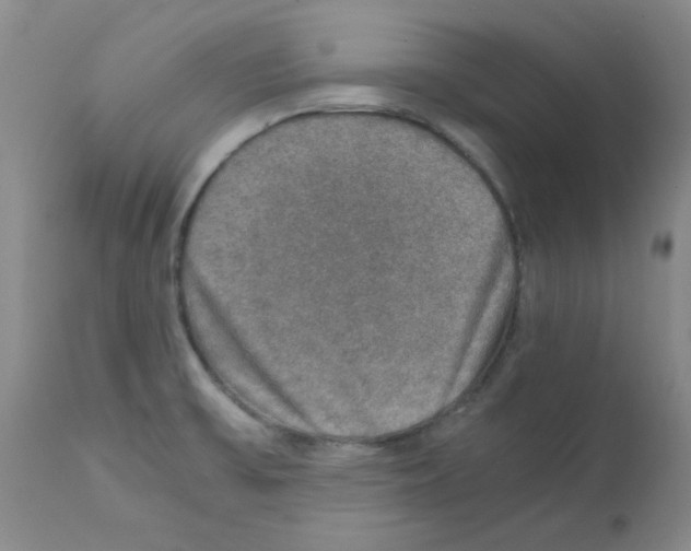 X0000112011475200909141114
